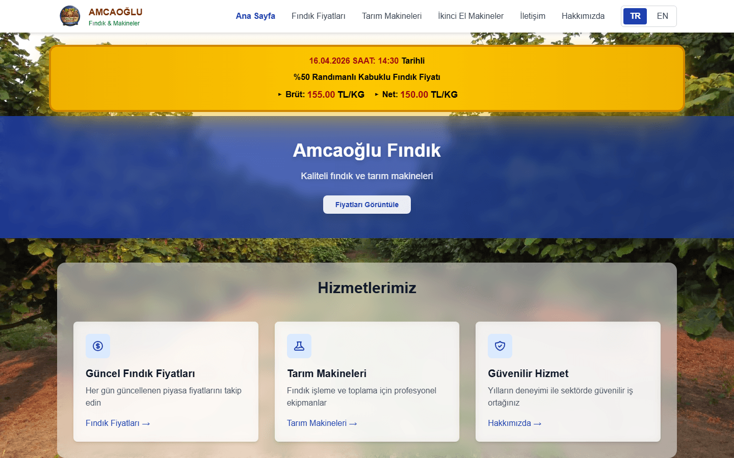 الصفحة الرئيسية لموقع Amcaoğlu Fındık تعرض شريط سعر البندق اليومي وقسم الخدمات