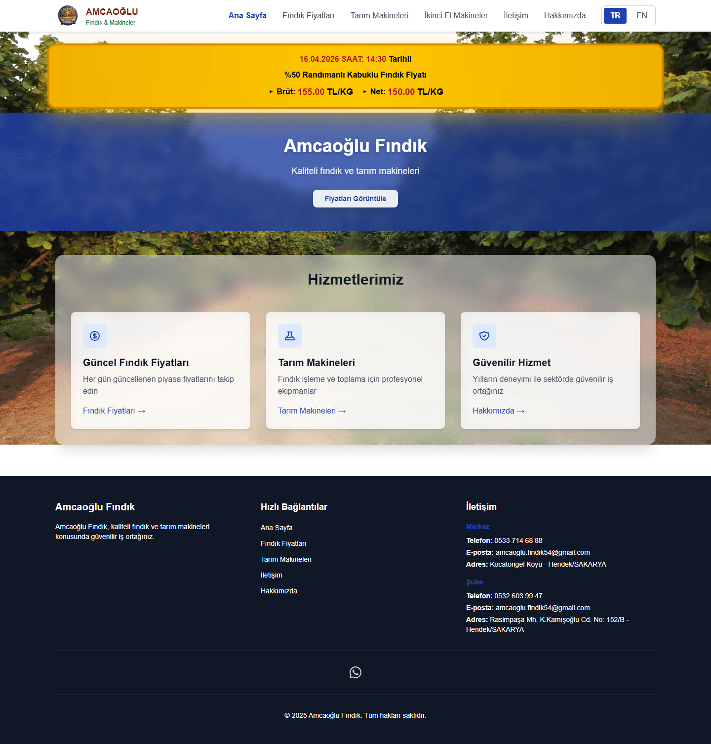 Full Amcaoğlu Fındık home page with price banner, services and contact details